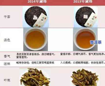 为什么普洱茶要陈化开壶？深度解析视频