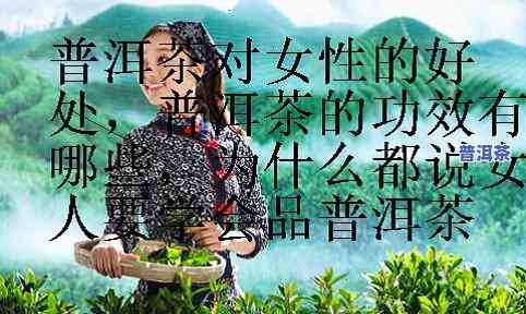 普洱茶对女性的危害：事实与误解