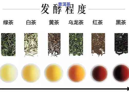 普洱茶建水紫陶发酵：熟茶还是生茶？口感对比解析