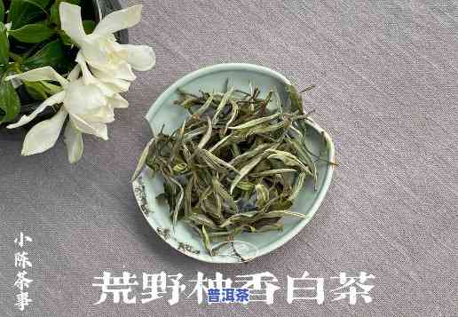 白茶贵还是普洱茶贵，白茶与普洱茶，谁的价格更高？