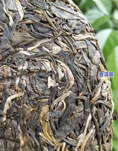 布朗山老班章古树茶：勐海品香园生茶价格与普洱茶的区别