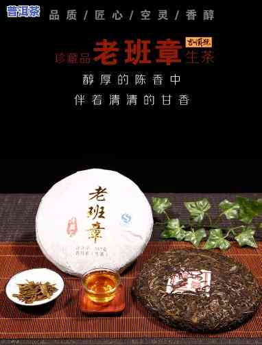 老班章属于什么牌子的，揭秘茶叶珍品：老班章属于哪个的独家藏品？