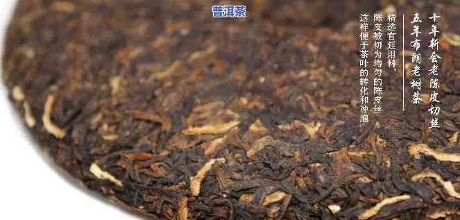 普洱茶可以做老茶吗视频-普洱茶可以做老茶吗视频讲解