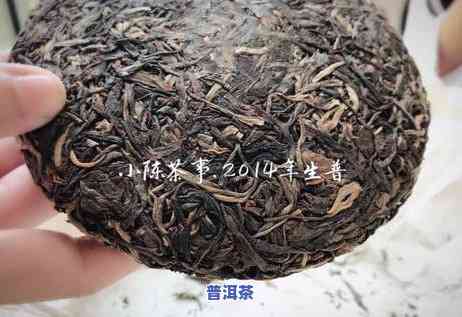 岩茶还是普洱茶？哪种更受欢迎？口感怎样比较？