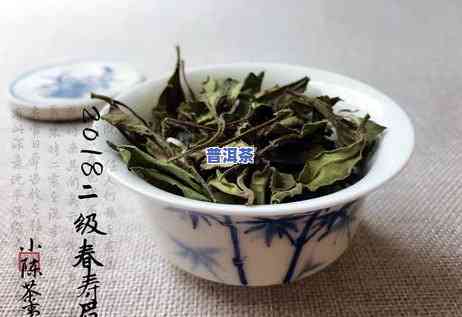 岩茶还是普洱茶？哪种更受欢迎？口感怎样比较？