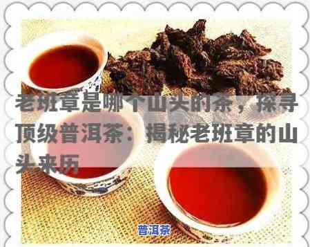 老班章茶农，揭秘老班章茶农：探寻顶级普洱茶的源头