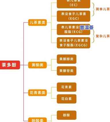 普洱茶的茶多酚含量高吗，探究普洱茶的茶多酚含量：高不高？