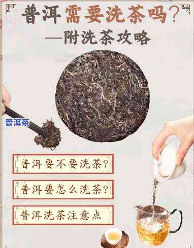 普洱茶泡茶需不需要洗茶？详解起因与步骤