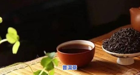 普洱茶什么时候开始吃的-普洱茶什么时候开始吃的更好