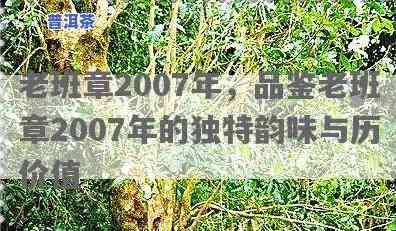 2007年老班章，探秘老班章：2007年的普洱茶传奇