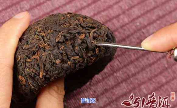 普洱茶怎样从罐头中取出？视频教程详解