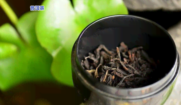 普洱茶怎么取出茶叶罐装-普洱茶怎么取出茶叶罐装的