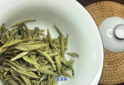 白茶与普洱茶的滋味有何不同？为何有人认为它们一样？全面解析