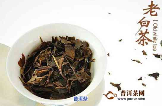 白茶和普洱茶滋味一样吗-白茶和普洱茶滋味一样吗为什么