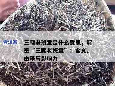 老班章三爬什么意思，解密“老班章三爬”：一款备受关注的普洱茶品种