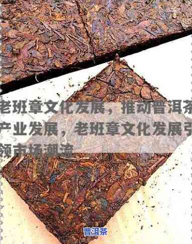 老班章文化发展，发掘老班章茶文化的魅力：老班章文化发展的探索与实践