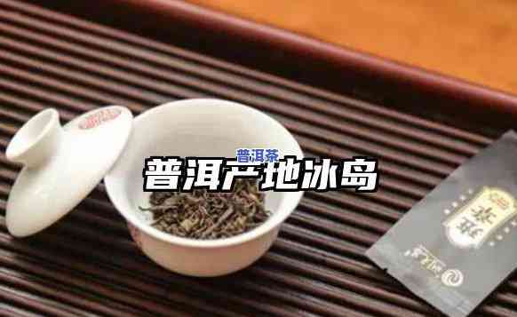 冰岛普洱茶  1000-冰岛普洱茶  1000克