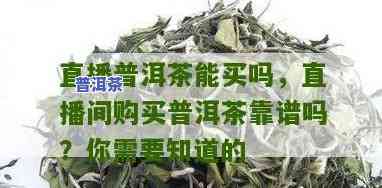 牌子普洱茶直播是真的吗-牌子普洱茶直播是真的吗还是假的