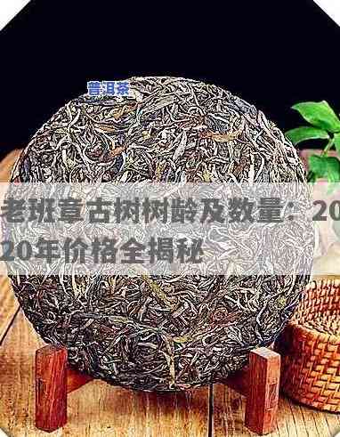 老班章古树多少年树龄？价格如何？2020最新数据