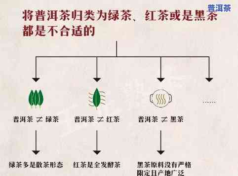 普洱茶和绿茶有何差别呢-普洱茶和绿茶有何差别呢图片