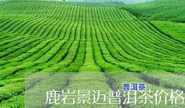 鹿岩景迈普洱茶价格表图-鹿岩景迈普洱茶价格表图片及价格