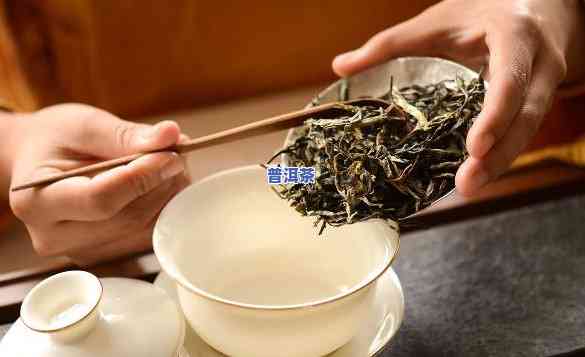 普洱茶是不是适合做冰茶？制作方法解析