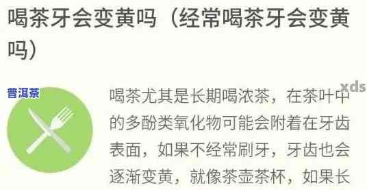 常喝普洱牙齿会黑吗？起因解析与美白方法