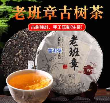 帕沙古树茶和老班章-帕沙古树茶和老班章哪个贵