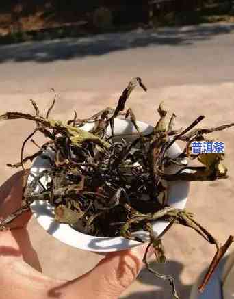 薄荷塘普洱茶怎样保存好-薄荷塘普洱茶怎样保存好喝