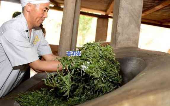 薄荷塘普洱茶怎样制作的-薄荷塘普洱茶怎样制作的视频