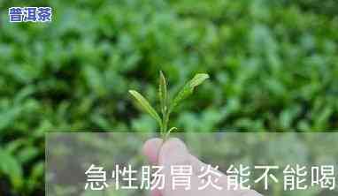 急性肠炎可以喝茶叶水吗，急性肠炎患者是不是适合饮用茶叶水？