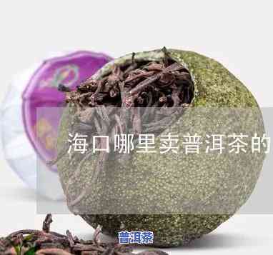 海口哪里卖普洱茶的好点-海口哪里卖普洱茶的好点呢