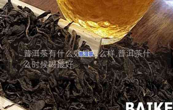 普洱茶什么时候打青花的-普洱茶什么时候打青花的好