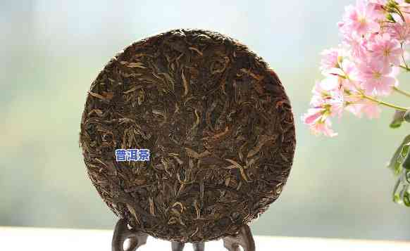 老班章茶特点是什么-老班章茶的特点简介