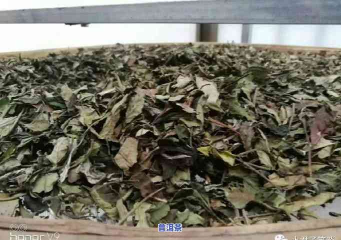 喝普洱茶作用心脏吗，探讨普洱茶对心脏的作用，你需要知道的事实