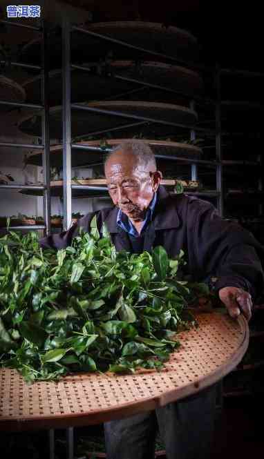 省级非遗普洱茶制作技艺-省级非遗普洱茶制作技艺大师