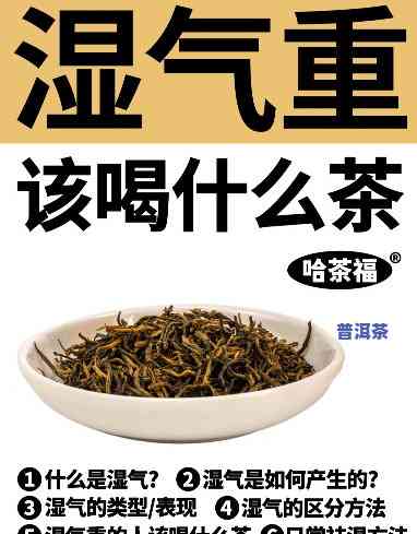 湿气重能喝普洱茶吗？女性适用吗？