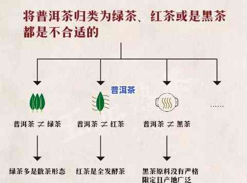 普洱茶也称什么茶叶类别？探究其特别之处与分类