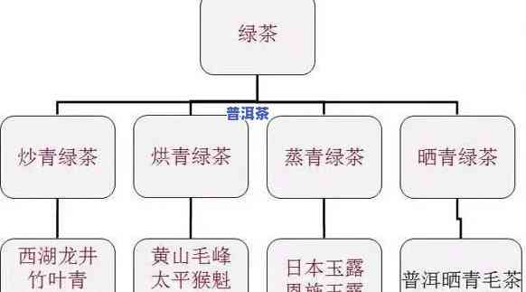 普洱茶是什么茶类型？详解其特点与分类