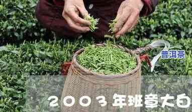 2003年老班章小白菜价格及大白菜售价查询