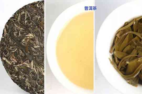 老班章茶能减肥吗？熟悉其好处与功效