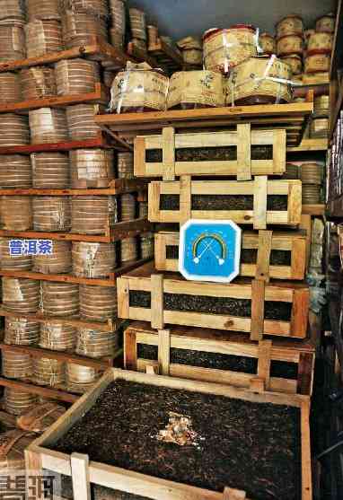 探究普洱茶厂特色：哪些茶类品种值得品尝？