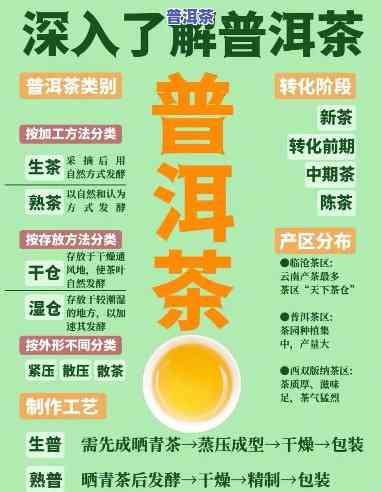 深圳普洱茶现状：怎样在上熟悉？