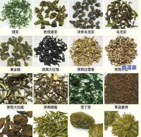 普洱茶入门分类图表大全-普洱茶入门分类图表大