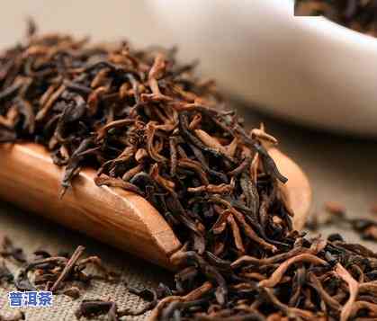 什么红茶属于高香普洱茶？探讨其种类与特点