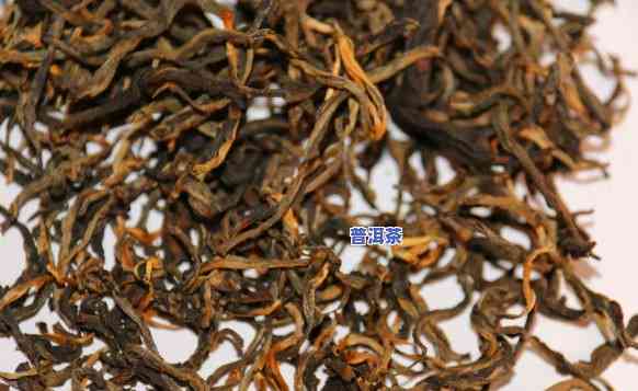 什么红茶属于高香普洱茶？探讨其种类与特点