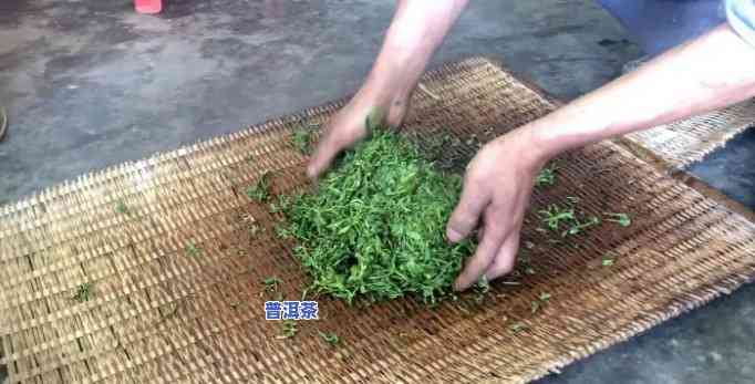 汕尾茶叶场，探索汕尾茶叶场：品味最新鲜的茶叶！