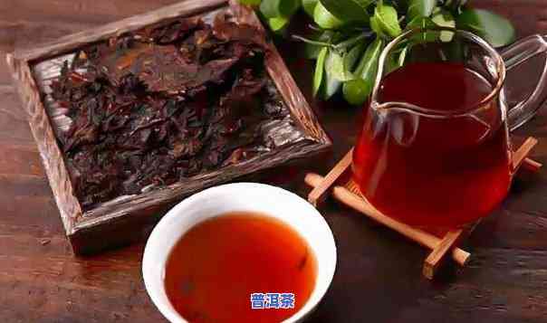 四大普洱茶排名榜前十位-四大普洱茶排名榜前十位