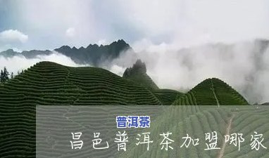 顺义昌普洱茶推荐店在哪-顺义昌普洱茶推荐店在哪里