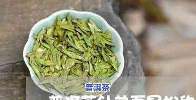 松针与普洱茶区别图解大全：直观对比与全面解析